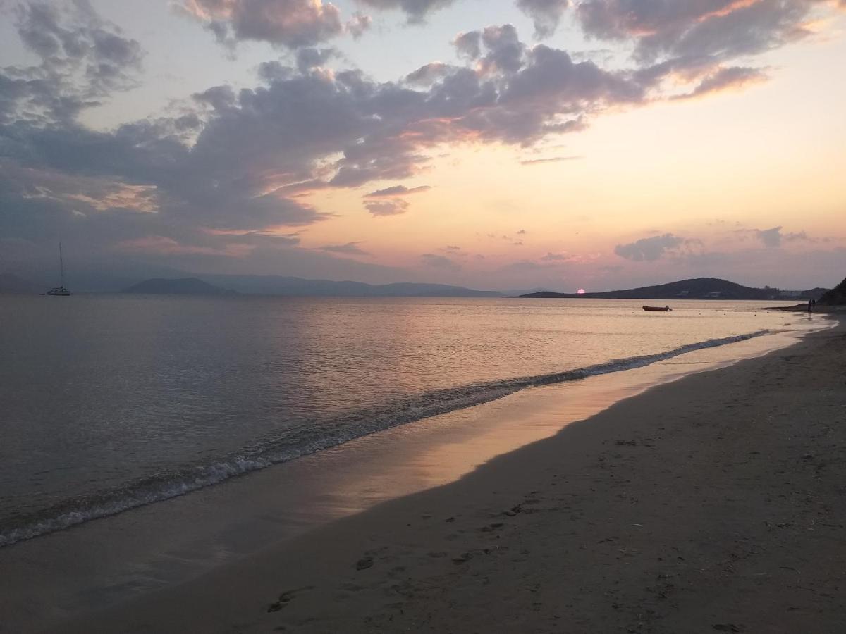 Villa Polemis Agia Anna  Bagian luar foto